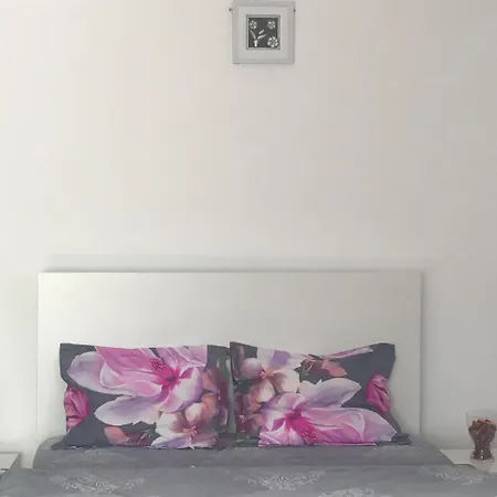 Studio Old City House Apartament Brașov